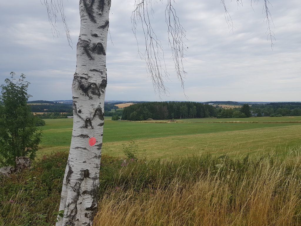Am höchsten Punkt der Reise, auf 600m ü. NN